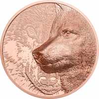 Various Münze Kupfer Mystic Wolf 50g P - High Relief 202 2021 High Relief