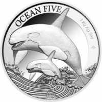 1kg Ocean Five Orca Auflage: 100, PP