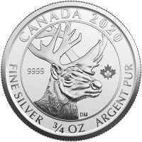 Canada Woodland Caribou 